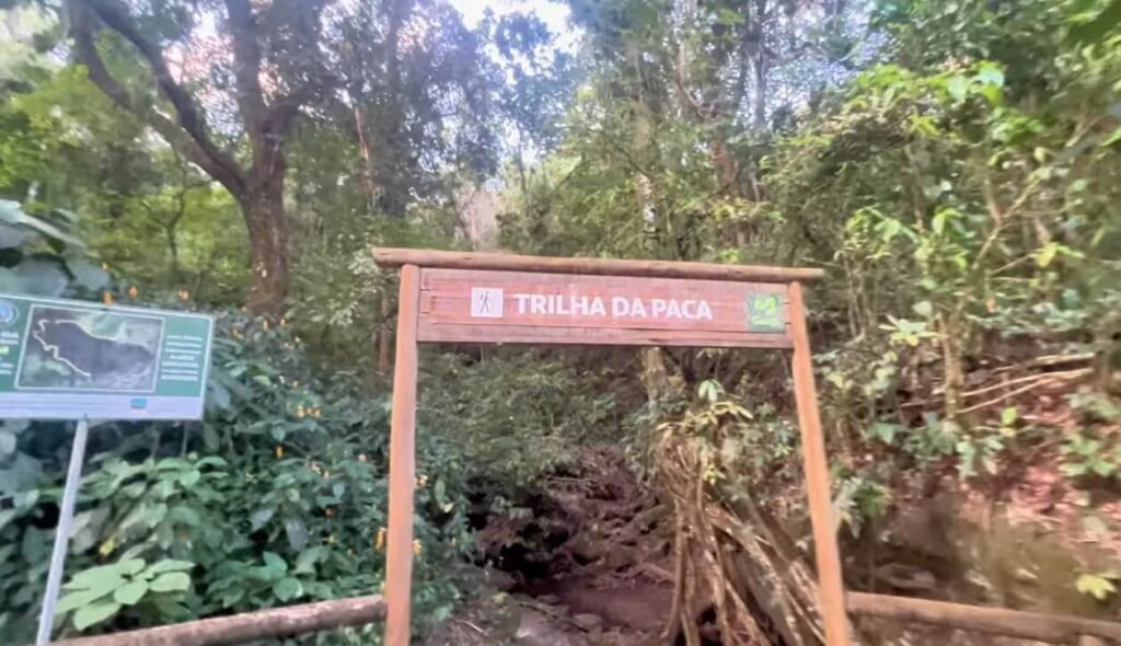 Trilha da Paca em Guapimirim