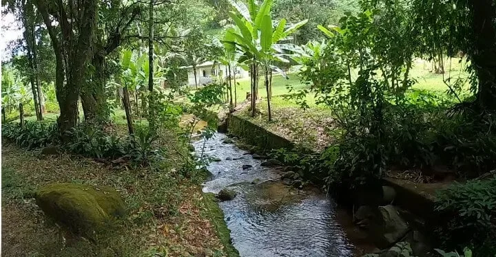 Guapimirim nascente de histórias e belezas naturais Visite Guapimirim