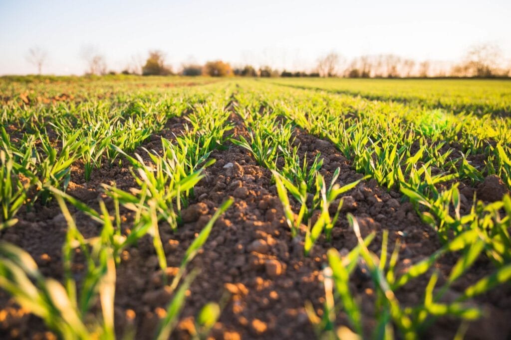 Agricultura e Agropecuária