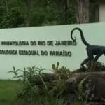 Centro de Primatologia do Rio de Janeiro (CPRJ)- Primatas em extinção