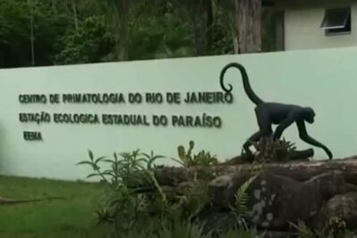 CPRJ primatas em extinção