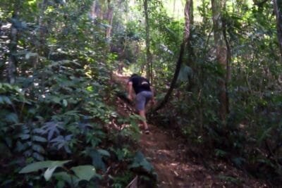 Trilha da Paca Guapimirim - Um convite ao coração da Mata Atlântica Trilha da Paca em Guapimirim