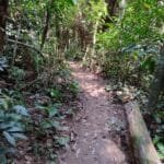 As trilhas de Guapimirim que você não pode deixar de visitar