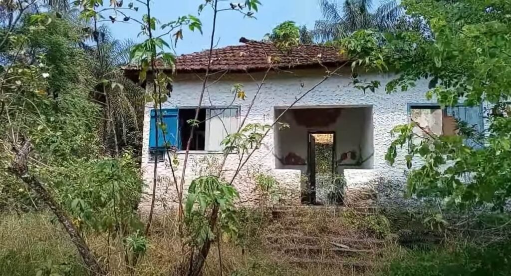 Bairro Cotia Guapimirim Fazenda Santa Constançaa