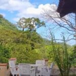 Fazenda Colomi: Um refúgio verde em Guapimirim