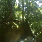 Cachoeira da Concórdia Guapimirim - Um paraíso esperando você