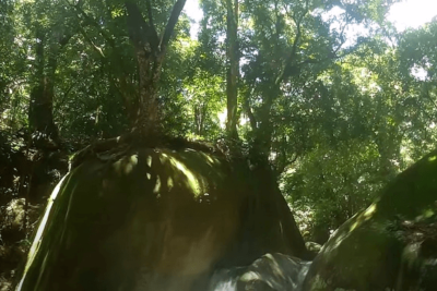 Cachoeira da Concórdia Guapimirim