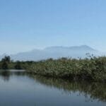 Conheça a APA de Guapimirim passeio e refúgio na Mata Atlântica