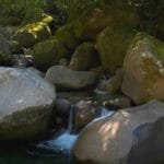 Descubra tudo sobre o município de Guapimirim