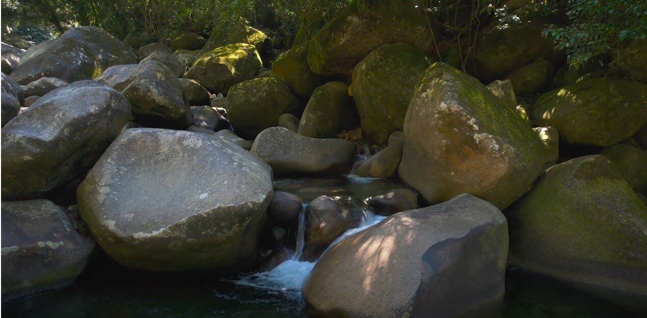 Descubra tudo sobre o município de Guapimirim