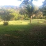 Chácaras e sítios para alugar em Guapimirim