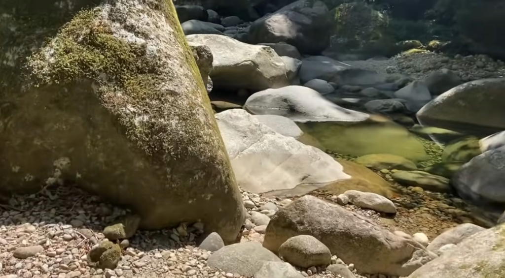 Guias e agências de turismo em Guapimirim