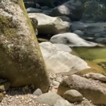 Guias e agências de turismo em Guapimirim