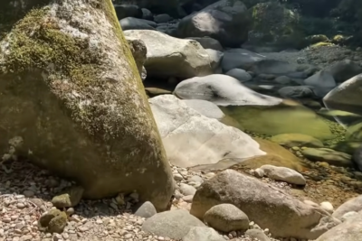 Guias e agências de turismo em Guapimirim