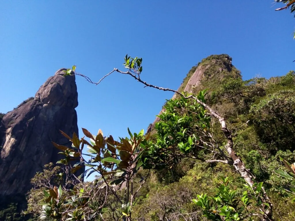 Cabeça de Peixe em Guapimirim Conheça a famosa Cabeça de Peixe em Guapimirim uma trilha com muitas emoções.