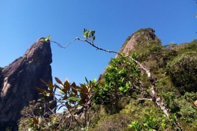 Conheça a famosa Cabeça de Peixe em Guapimirim uma trilha com muitas emoções.