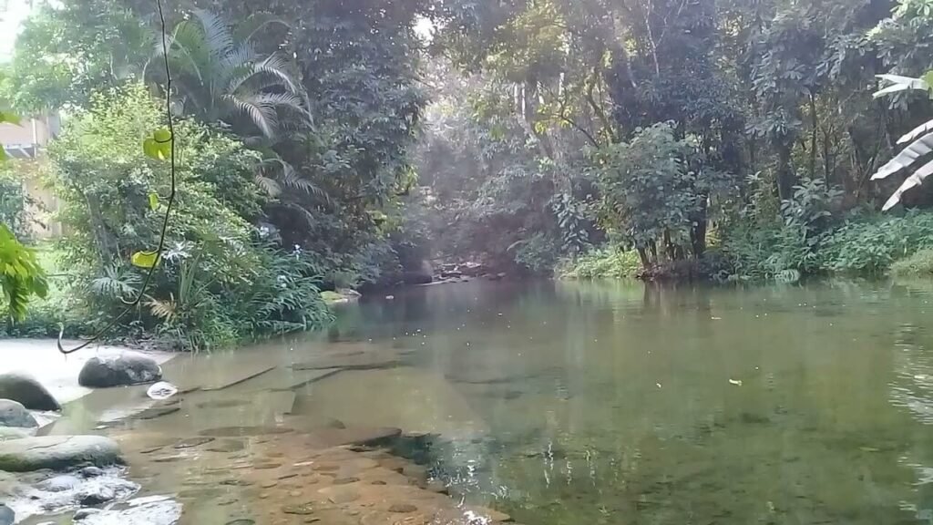 Conheça Guapimirim paraíso ecológico no município do Rio de Janeiro.