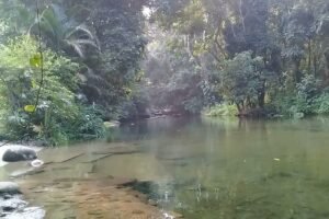 Guapimirim paraíso ecológico abençoado pelo Dedo de Deus