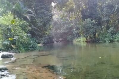 Conheça Guapimirim paraíso ecológico no município do Rio de Janeiro.