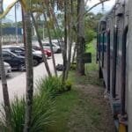 Bananal em Guapimirim é perigoso? Descubra tudo aqui!