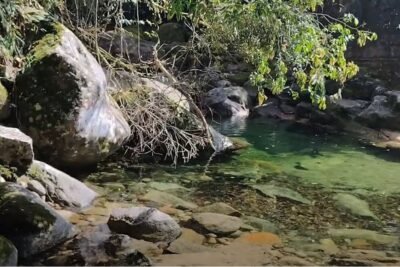 Quer planejar uma viagem para o Rj e não sabe onde ir? Visite Guapimirim e veja como esse local é diferente.