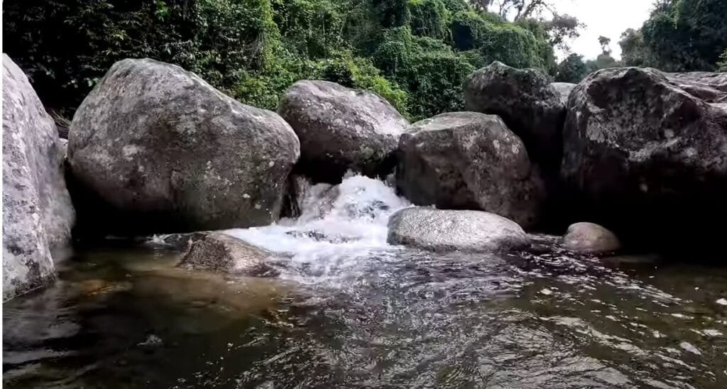 Venha visitar Guapimirim e conheça o Parque nacional da serra dos órgãos