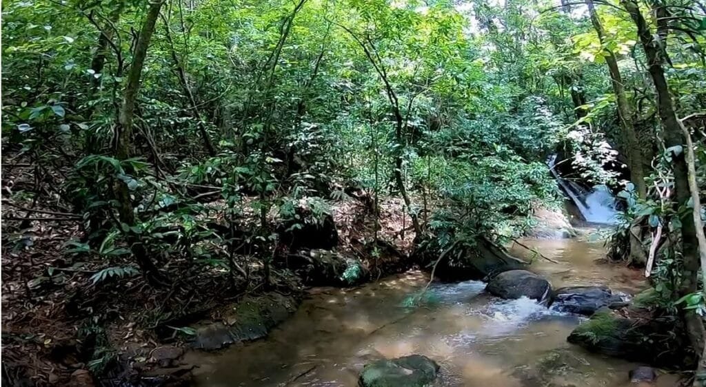 Conheça esse local fantástico o Poço da Caninana em Guapimirim