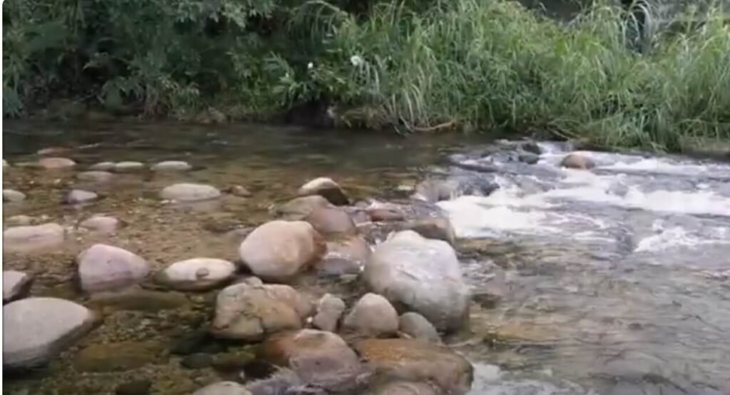 Cachoeira de Guapimirim - Mais um paraíso no Rio de Janeiro Cachoeira de Guapimirim