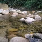 Cachoeira de Guapimirim - Mais um paraíso no Rio de Janeiro