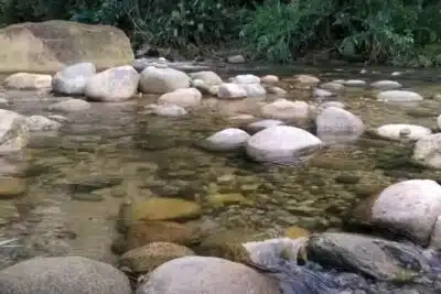 Cachoeiras e poços em Guapimirim
