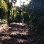 Downhill em Guapimirim serra verde imperial