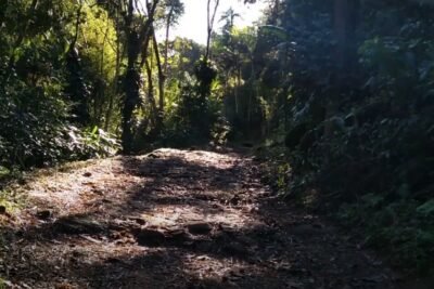 Downhill em Guapimirim serra verde imperial Downhill em Guapimirim