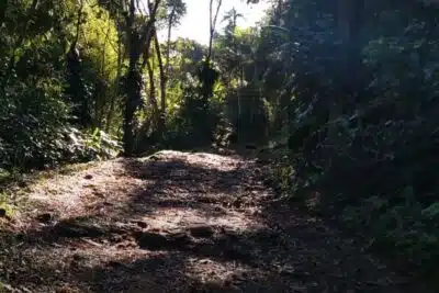 Downhill em Guapimirim