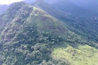 Mirante da Barreirinha