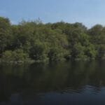 Proclamação da República em Guapimirim: A história em cada cantinho