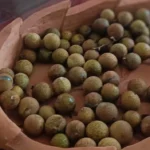 Day use fazenda Colomi ou Sítio em Guapimirim com roteiro, custos e como escolher